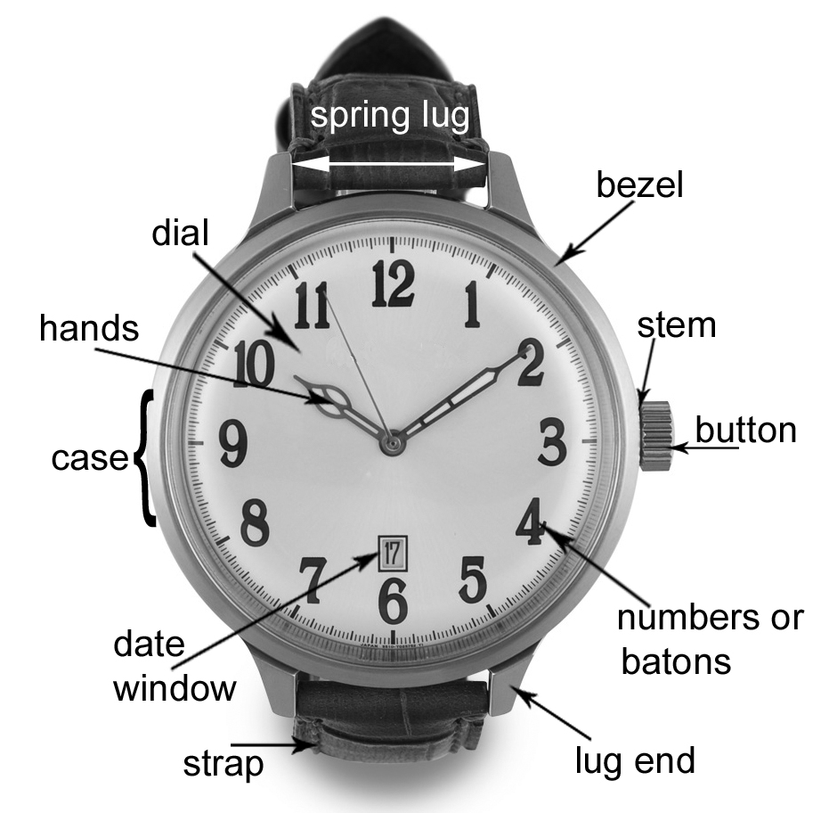 external parts of a watch